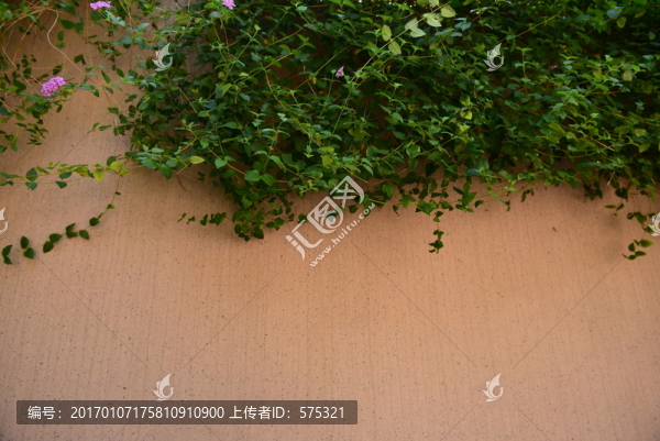 粉墻綠葉