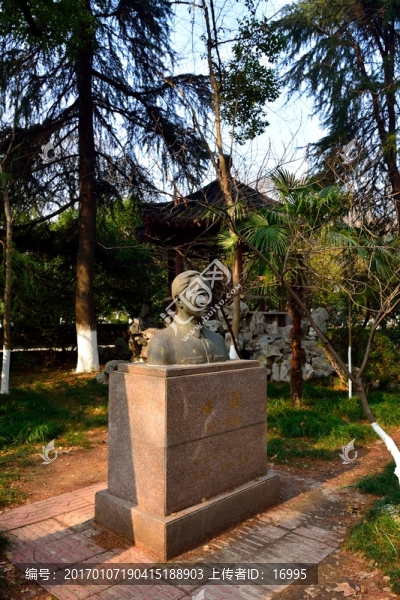 南大素材