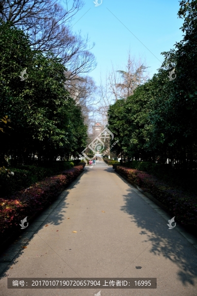 南大素材