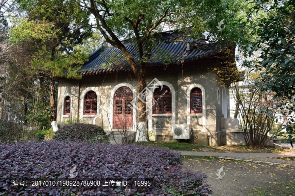 南大素材