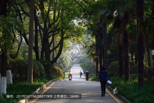 南師大風(fēng)景