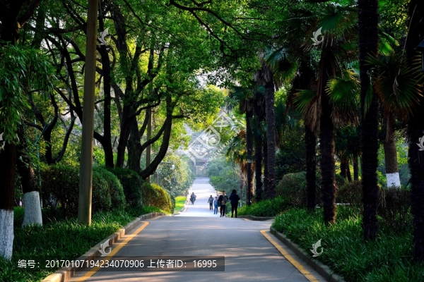 南師大風(fēng)景
