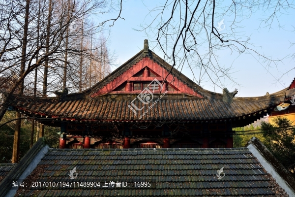 南師大建筑
