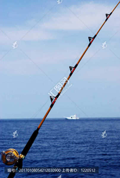 去釣魚