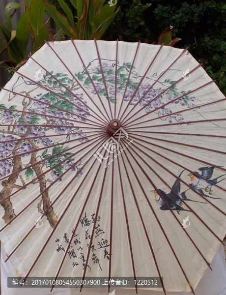 雨傘