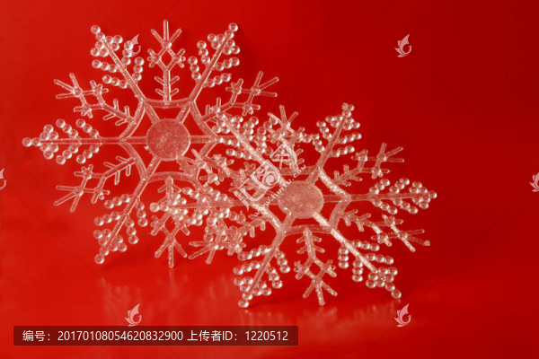冬天的雪花