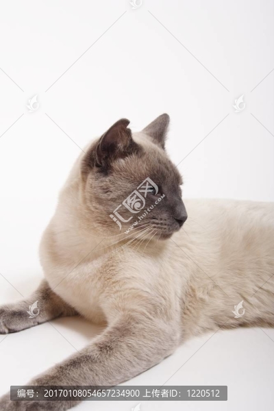 缺口