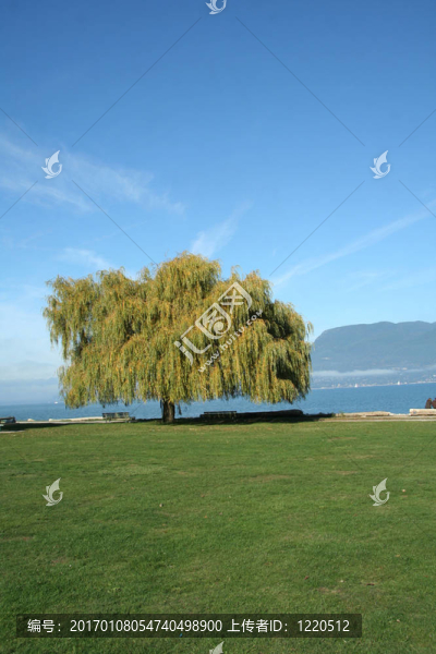美麗的海岸在加拿大溫哥華