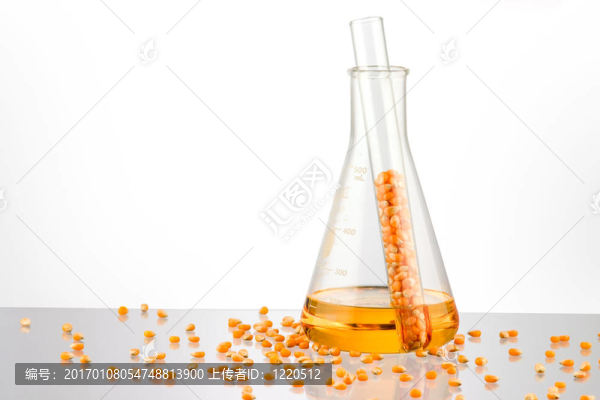 生物燃料2