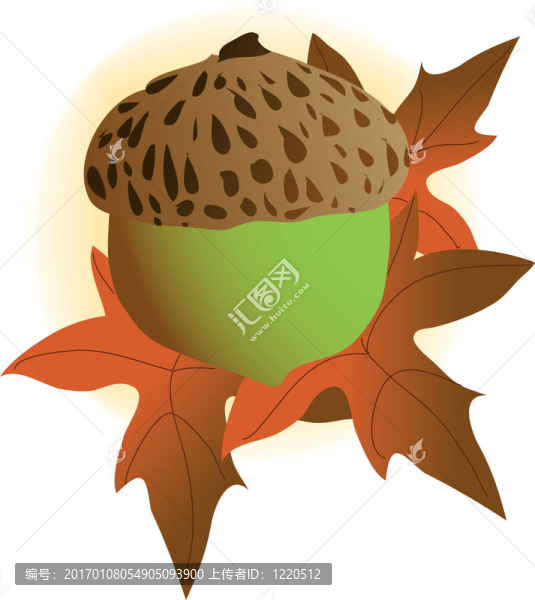 橡子