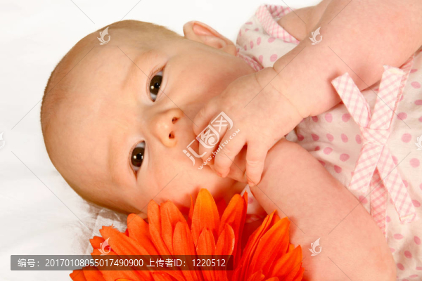 嬰兒的手