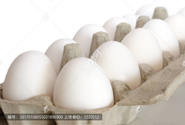 雞蛋