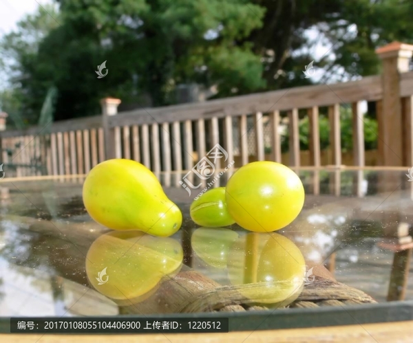 黃tomato.30681