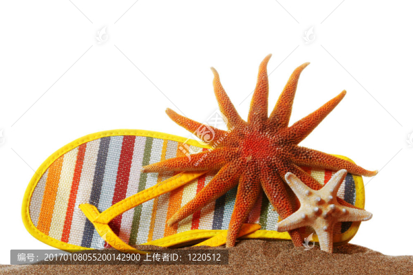 海灘仍然生活