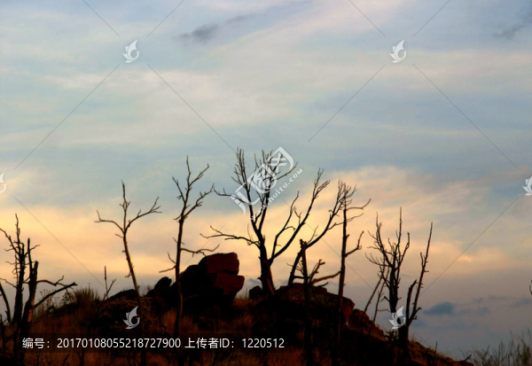 對著天空