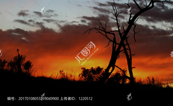 燒穿