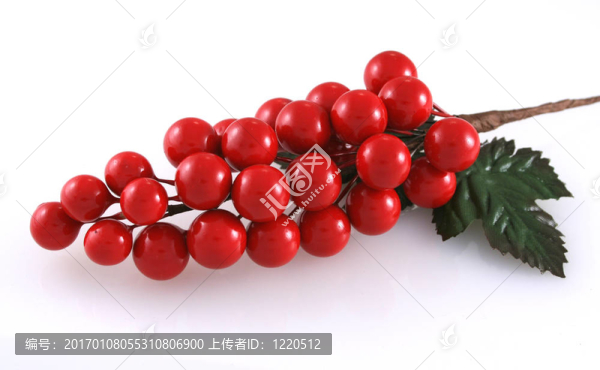 紅漿果