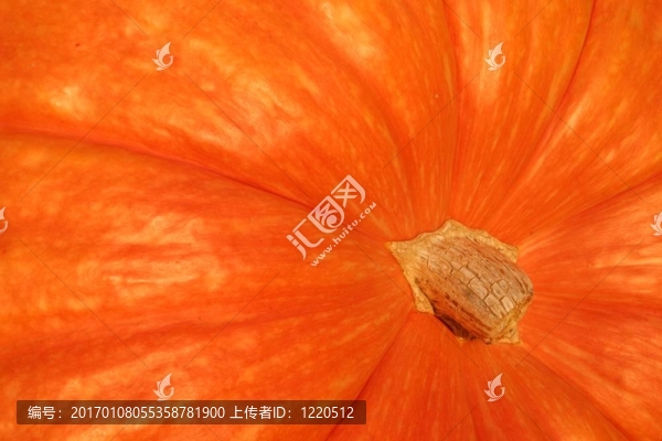 橙色葫蘆