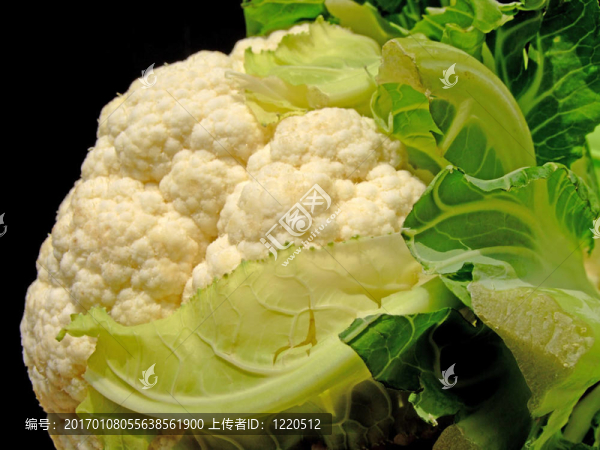 菜花