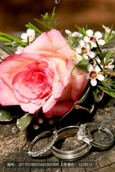 環(huán)Silver,Rose
