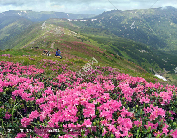 山；情人