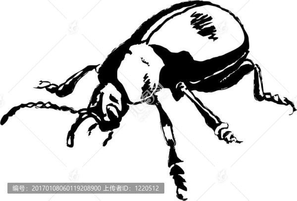 流血的鼻子甲蟲