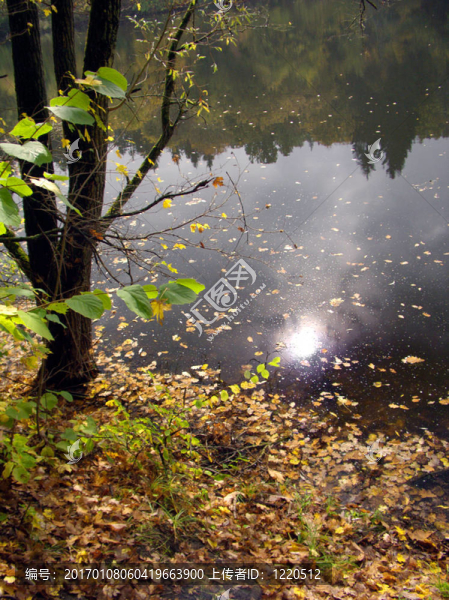 9秋季-匯圖網(wǎng) www.fosd68.com 9秋季