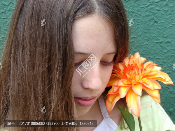 害羞的花