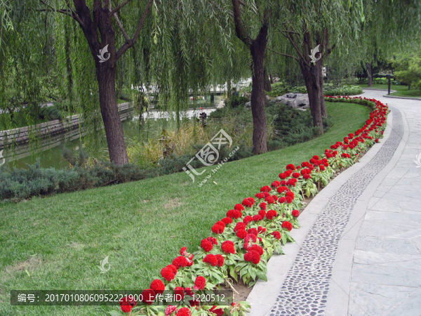 公園