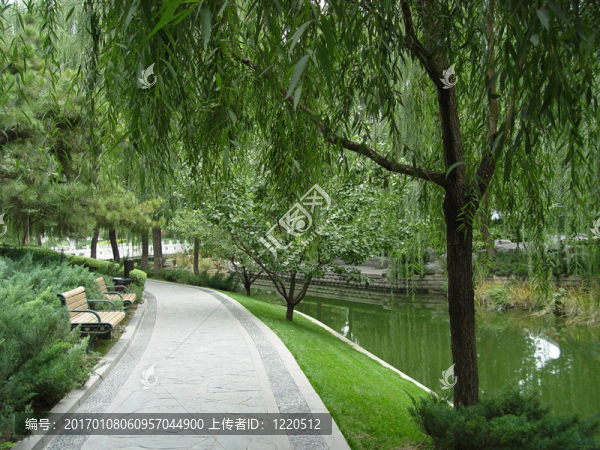 公園
