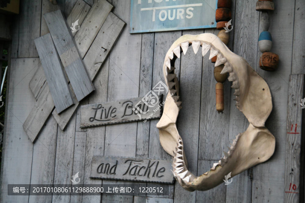 活餌和對付標(biāo)志