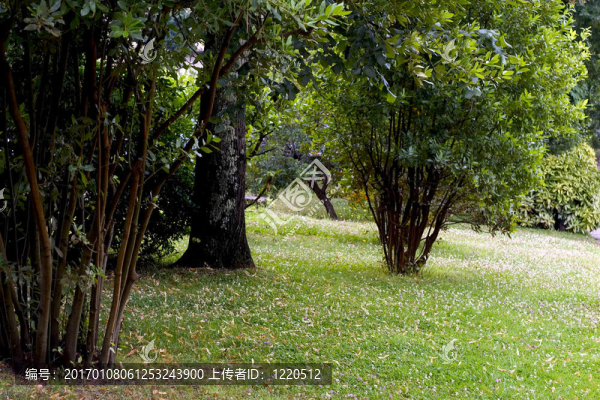 公園