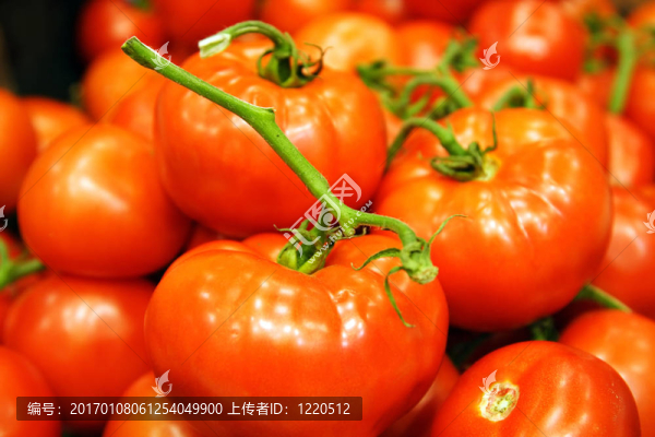 紅色的西紅柿