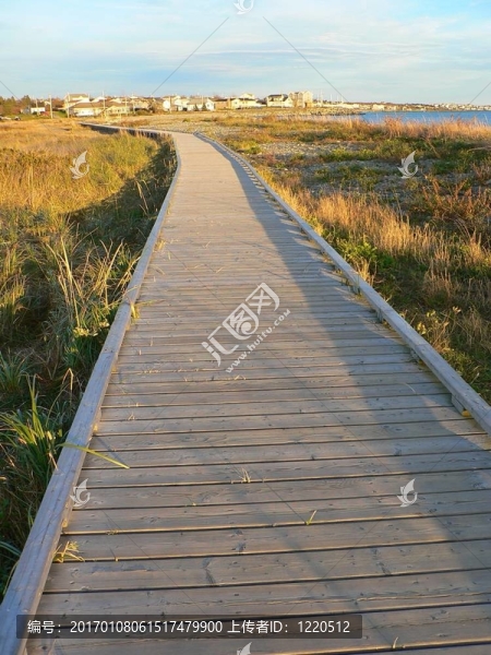 木板路