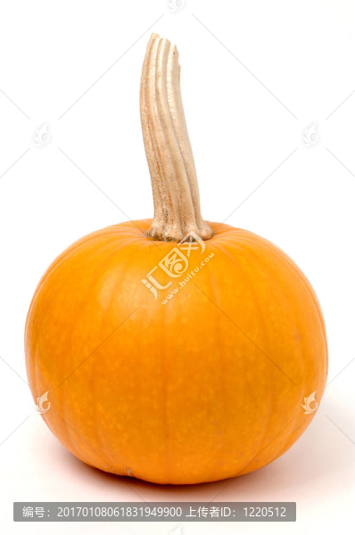 pumpkin1