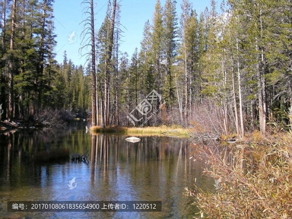 Lake,Mamie,3