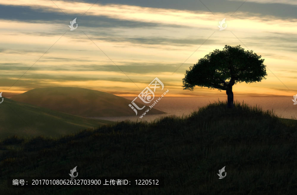 美麗的風(fēng)景