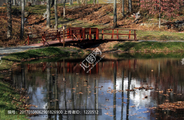 鄉(xiāng)村景觀