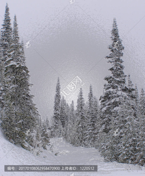雪道3