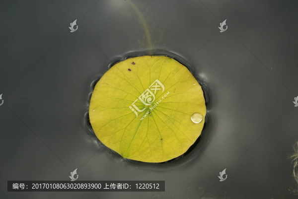 輕松的一天
