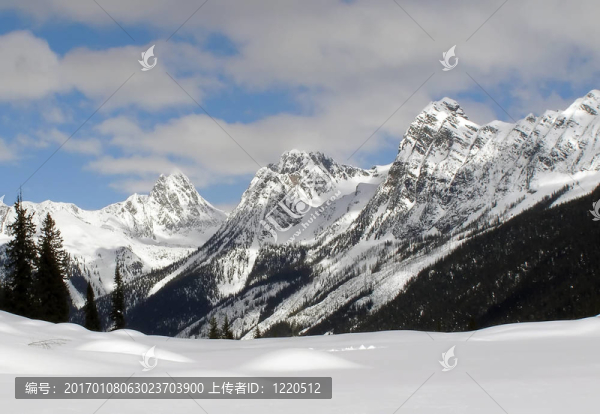 山景