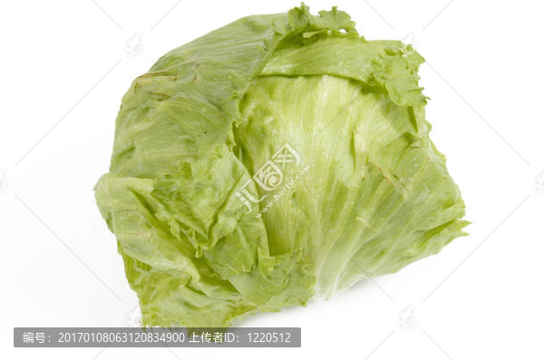 生菜