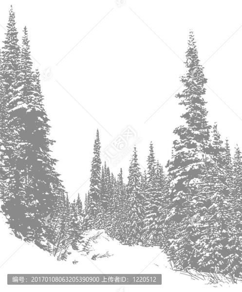 雪道1