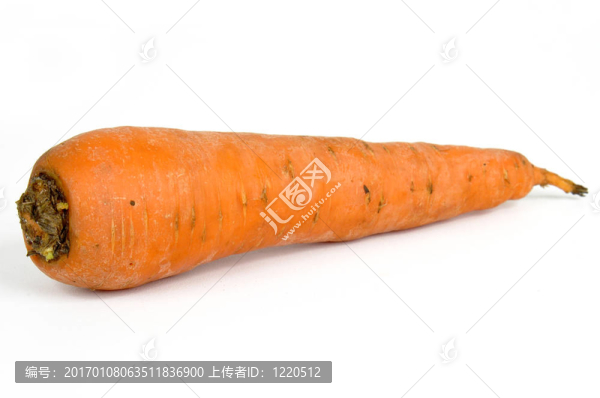 胡蘿卜
