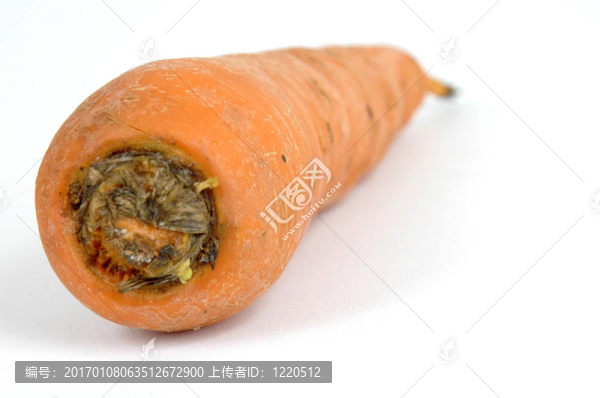 胡蘿卜