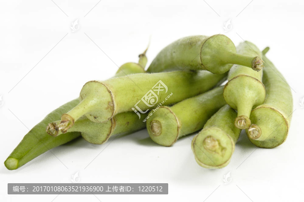 秋葵