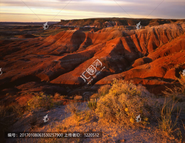 painteddesert2