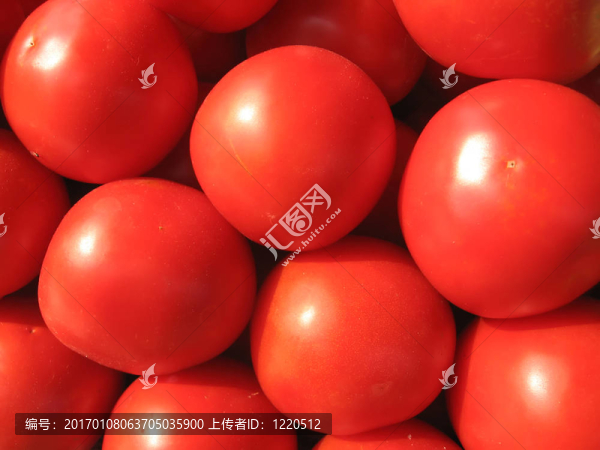 番茄