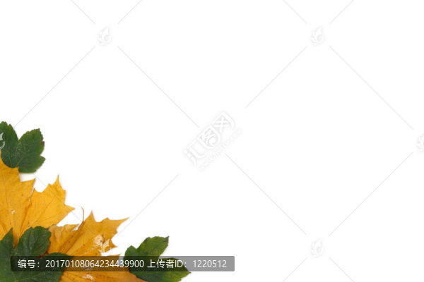 葉片框架