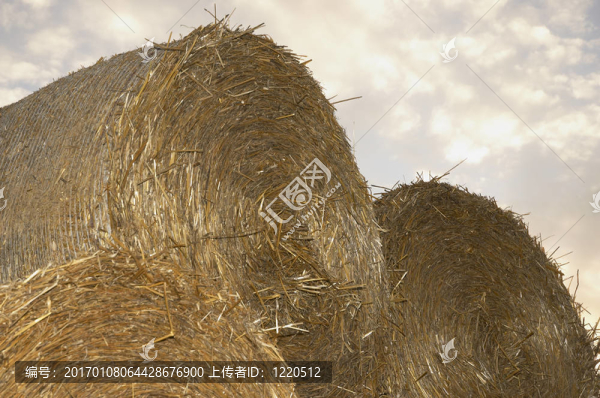 干草卷